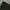 Carhartt Streetwear Hoody Pria Green