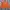 Carhartt Streetwear Sweater Pria orange photo 1