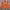 Carhartt Streetwear Sweater Pria Orange