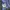 C.P. Company Casual Jumper Pria blue photo 5