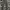 ZARA Casual Jeans Pria green photo 2