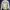 Pink House Vintage Casual Bomber Jacket Pria White