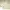 Mizuno Vintage Harrington jacket Pria cream photo 6