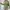 Shein Y2K Avant Garde Kimono Wanita green pink blue photo 3