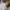 Lolita Fairy Bodycon dress Wanita white photo 1