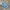 Sportswear Jersey Pria blue photo 1