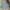 Sportswear Jersey Pria blue photo 5