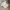 Sportswear Casual Jersey Pria white photo 2