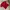 Sportswear Jersey Pria red photo 1