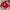 Sportswear Jersey Pria red photo 1