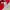 Sportswear Jersey Pria red photo 4