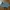 Casual Short Wanita blue photo 3