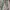Levi's Streetwear Indie Jeans Pria blue photo 1