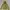 Mountain Hardwear Gorpcore Puffer Jacket Pria Multicolor