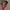 Y2K Avant Garde Belt Wanita Red