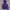 Gorpcore Track Jacket Pria Purple