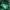 Pancoat Streetwear Windbreaker Pria green photo 3