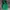 Pancoat Streetwear Windbreaker Pria green photo 1