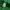 Pancoat Streetwear Windbreaker Pria green photo 6