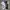 Yohji Yamamoto Streetwear Polo shirt Pria white photo 1