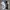 Yohji Yamamoto Streetwear Polo Shirt Pria White