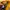 Streetwear Sportswear Windbreaker Pria yellow photo 7