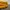 Streetwear Sportswear Windbreaker Pria yellow photo 5