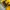 Streetwear Sportswear Windbreaker Pria yellow photo 4