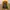 Streetwear Sportswear Windbreaker Pria yellow photo 3