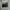 Kate Spade Minimalist Wallet Wanita black photo 5