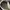 Maison Margiela Streetwear Sportswear Sneakers Wanita cream photo 5