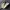 Maison Margiela Streetwear Sportswear Sneakers Wanita cream photo 1