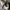 Maison Margiela Streetwear Sportswear Sneakers Wanita cream photo 3