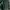 Champion Streetwear Sportswear Short Pria green photo 2