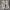 Carhartt Vintage Streetwear Short Pria khaki photo 2