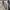 Carhartt Vintage Streetwear Short Pria khaki photo 3