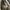 Carhartt Vintage Streetwear Short Pria khaki photo 5