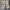 Carhartt Vintage Streetwear Short Pria khaki photo 1