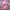 Harley Davidson Streetwear Y2K Hat Wanita pink gray photo 3