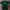 Wrangler Casual T-shirt Pria green photo 1