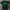 Wrangler Casual T-shirt Pria Green
