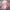 Y2K Hat Wanita pink photo 5