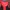2XU Sportswear Jersey Pria red black photo 6