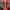 2XU Sportswear Jersey Pria red black photo 5
