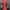 2XU Sportswear Jersey Pria red black photo 3