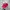 Vintage Streetwear Hat Pria red photo 1