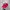 Vintage Streetwear Hat Pria Red