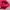 Vintage Streetwear Hat Pria red photo 4