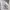 New Balance Sportswear Jersey Pria white photo 5