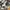 VANS Y2K Skater Casual shirt Pria white black photo 4